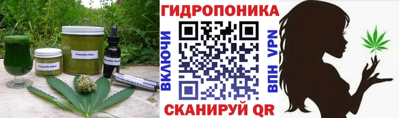 Canna-Cookies марихуана  Купить  Берёзовка 