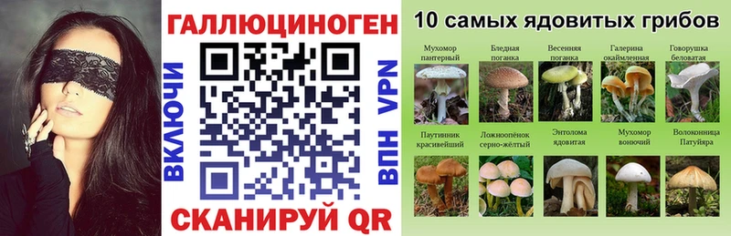 Купить где  Берёзовка  Псилоцибиновые грибы MAGIC MUSHROOMS 